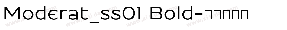 Moderat_ss01 Bold字体转换